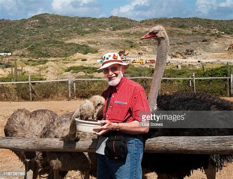 The Human Ostrich Photos And Premium High Res Pictures Getty Images