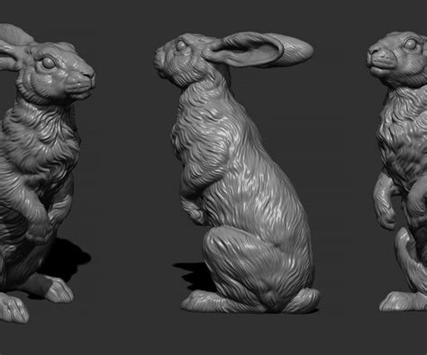 ArtStation - Hare sitting | Resources