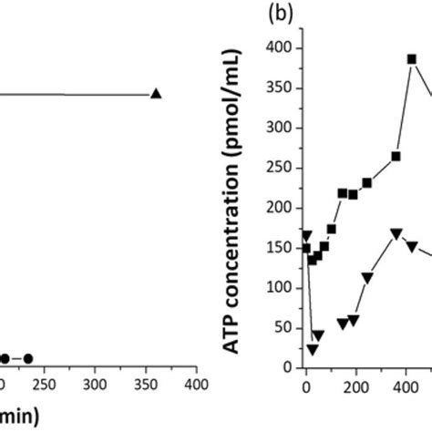 A Temporal Evolution Of H 2 O 2 Concentration In The Presence Download Scientific Diagram