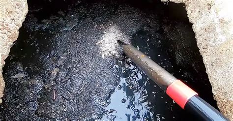 Can I Shower If My Septic Tank Is Full