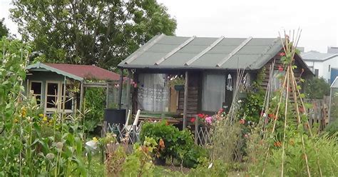 Look Allotment shed designs | Sanki