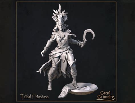 Tribal Priestess Miniature Tabletop Rpg Miniature Great Grimoire Roleplaying 3d Printed Fantasy