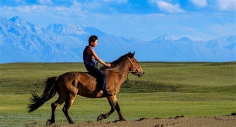 Ulaanbaatar Travel Guide Ulaanbaatar Tourism Kayak