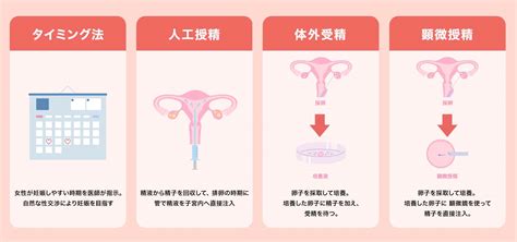 体外受精とは？顕微授精との違いや適応、流れについて 銀座リプロ外科 東京の男性不妊治療｜医療法人社団マイクロ会