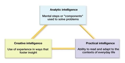 Robert Sternberg - Personality & Intelligence Portfolio