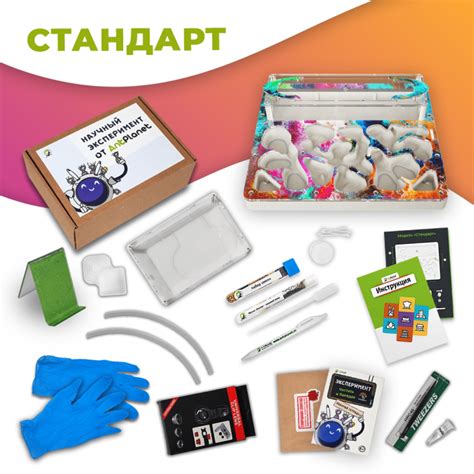 Муравьиные фермы купить в Москве — цены на формикарий с муравьями в ...