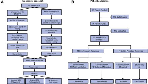 Intramural Venous Ethanol Infusion For Refractory Ventricular