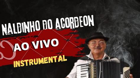 Naldinho Do Acordeon Ao Vivo Youtube