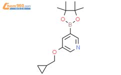 3 环丙基甲氧基 5 4 4 5 5 四甲基 1 3 2 二氧硼戊烷 2 基 吡啶 3 Cyclopropylmethoxy 5