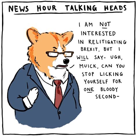 Understanding why the average corgi dog price has risen so fast 12