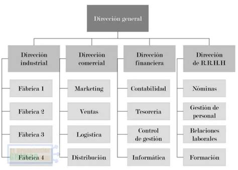 Ejemplo De Organigrama De Una Empresa Peque A Varios Ejemplos