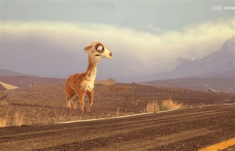 Caminandes: Llama Drama — Films — Ajyal Film Festival | Doha Film Institute
