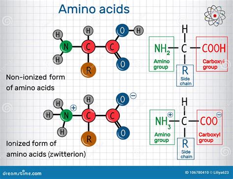 General Formula Of Amino Acids Ionized And Non Ionized Zwitter Stock