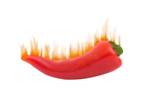 Red Hot Chili Pepper Illustration Stock Illustration Illustration Of Spices Smooth 1168202