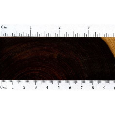 Lignum Vitae | The Wood Database - Lumber Identification (Hardwood)