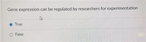 Solved Gene expression can be regulated by researchers for | Chegg.com