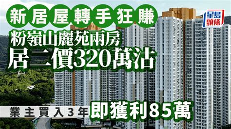 新居屋禁售期滿 轉手即大賺36 兩房320萬成交 白居二買家接貨