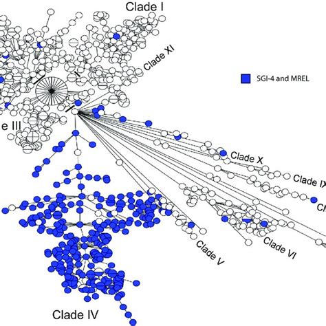 Minimum Spanning Tree Of WgMLST Data Showing The Distribution Of