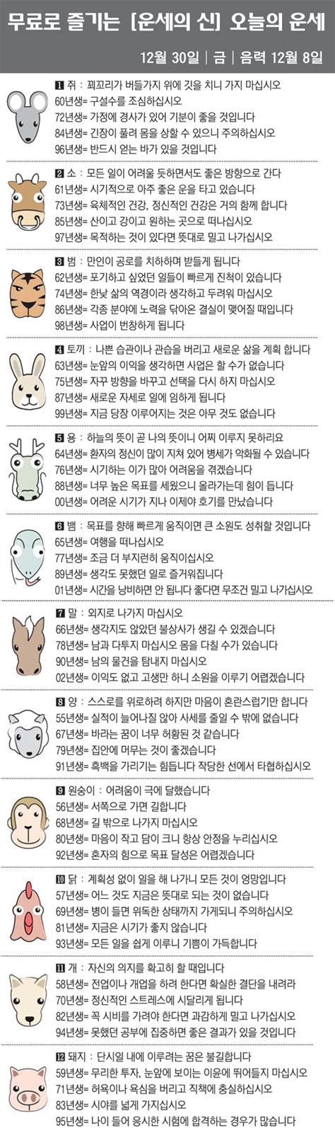 직장인을 위한 오늘의 운세 2022년 12월 30일 금요일 오늘의 띠별 운세 음력 12월 8일 네이트 뉴스