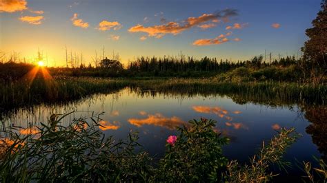 Lake Sunset Trees Clouds Wallpapers Hd Desktop And Mobile Backgrounds