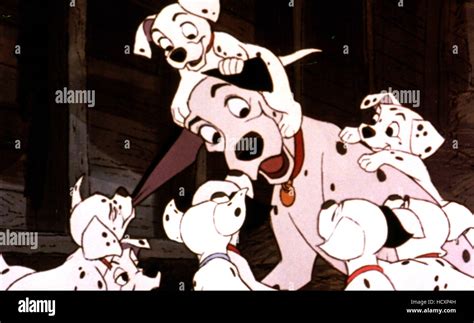 Cent Un Dalmatiens Aka Les 101 Dalmatiens Animation Disney Classic 1961 Photo Stock Alamy