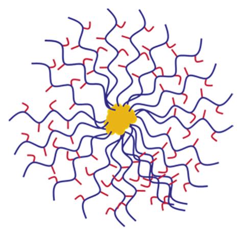 Schematic Diagrams Of Types Of Nanocarriers A Micelle B