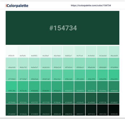 Pantone 3435 C Color | Hex color Code #154734 information | Hsl | Rgb ...