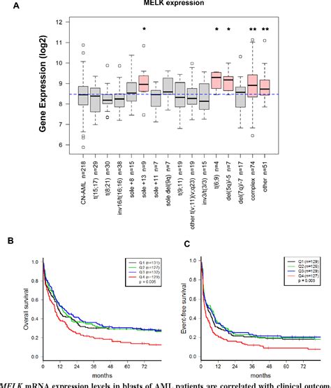 Figure From Preclinical Efficacy Of Maternal Embryonic Leucine Zipper