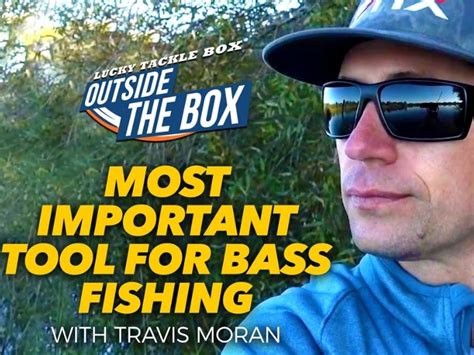 Bass Fishing Essentials In 5 Minutes