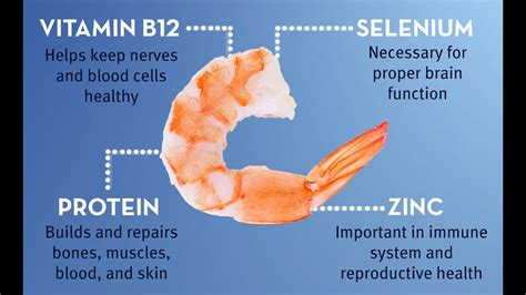 Basic Details Of Shrimp And Prawns Health Benefits Of Shrimp Prawns