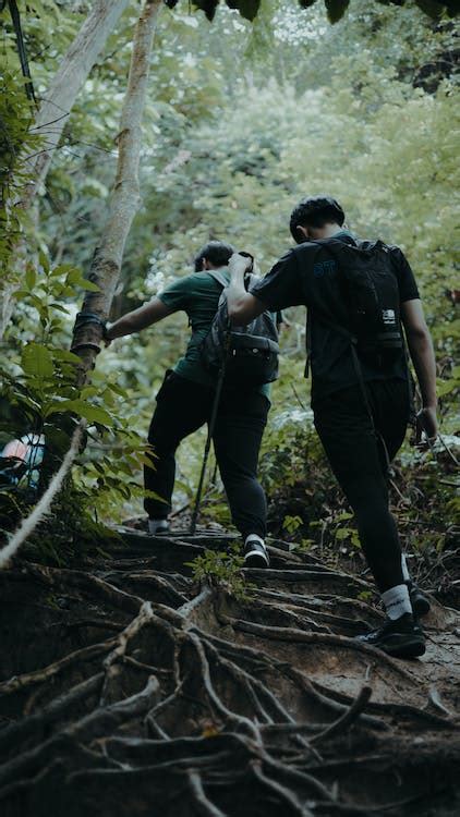 Two People Hiking in a Forest · Free Stock Photo