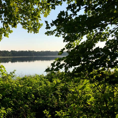 Bodi Lake State Forest Campground Camping The Dyrt