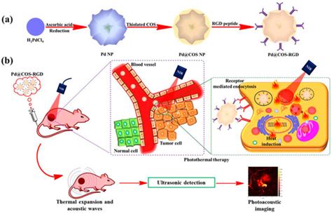 Nanomaterials Free Full Text Biomimetic Nanomaterials Diversity Technology And Biomedical