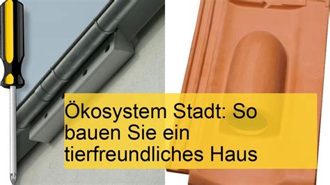 Ökosystem Stadt So bauen Sie ein tierfreundliches Haus YouTube