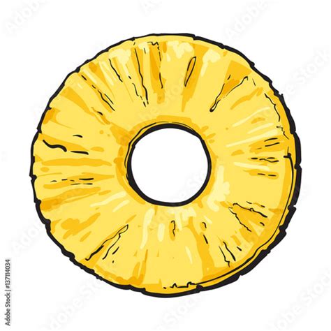 Peeled Round Pineapple Slice With Hole In The Middle Top View Sketch