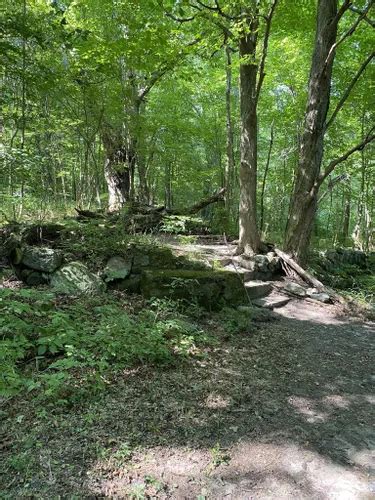 Best Hikes And Trails In Potato Creek State Park Alltrails