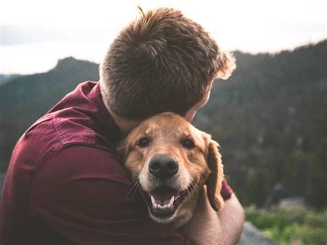 Los perros pueden oler el estrés de las personas Portal Salud