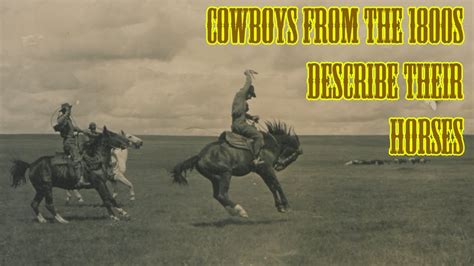 Cowboys From The 1800s Describe Their Horses Youtube