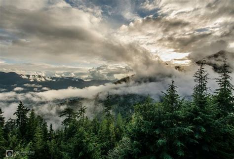 Darrington, WA Darrington, Washington State, Natural Beauty, Clouds ...