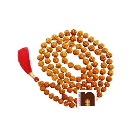 Numeroastro Mukhi Five Faced Rudraksha Mala Mm Beads Approx