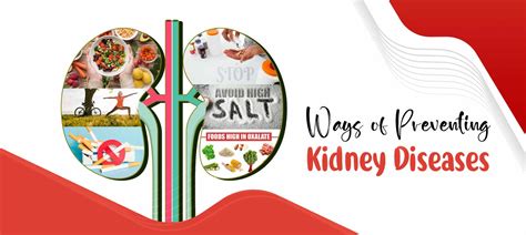 Ways Of Preventing Kidney Diseases Health Care Medplusmart