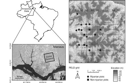 Location Of The Adolpho Ducke Forest Reserve And Distribution Of Download Scientific Diagram