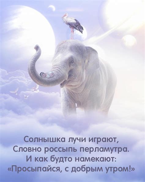Картинки с надписью - Просыпайся, с добрым утром!.