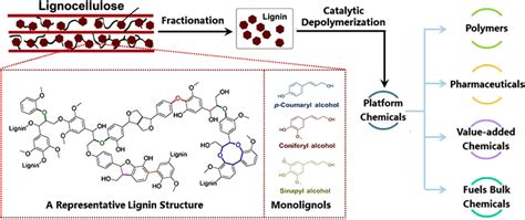 Diagram Of Lignin Depolymerization Process And The Representative