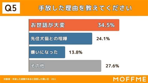 多頭飼いをする飼い主、「ペットを手放す」選択をした割合は ライブドアニュース