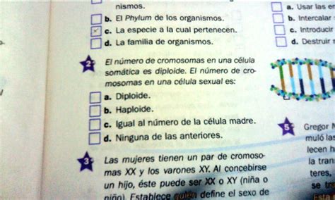 SOLVED La Segunda Porfavor Nismos Usar Las Intercala Introcuct