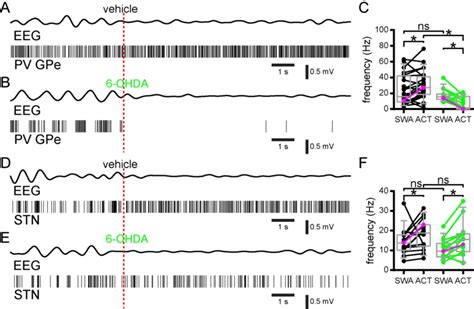 Effect Of Tail Pinch Evoked Cortical ACT On PV GPe And STN Neuronal