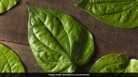 Why Is The Betel Leaf Paan Patta So Significant In Hindu Traditions