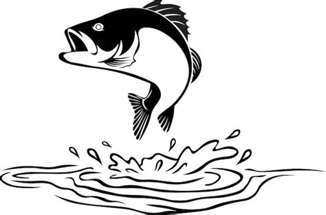 Premium Vector Fish Logo Illustration Vector Design