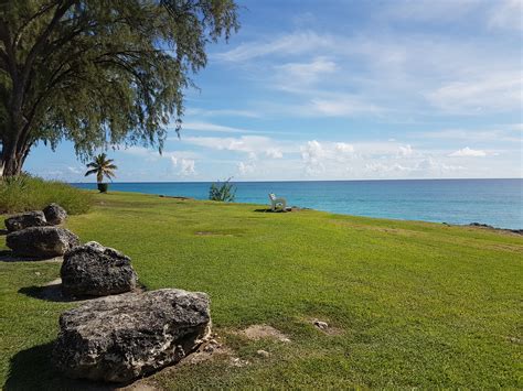 Totally Barbados | LinkedIn 